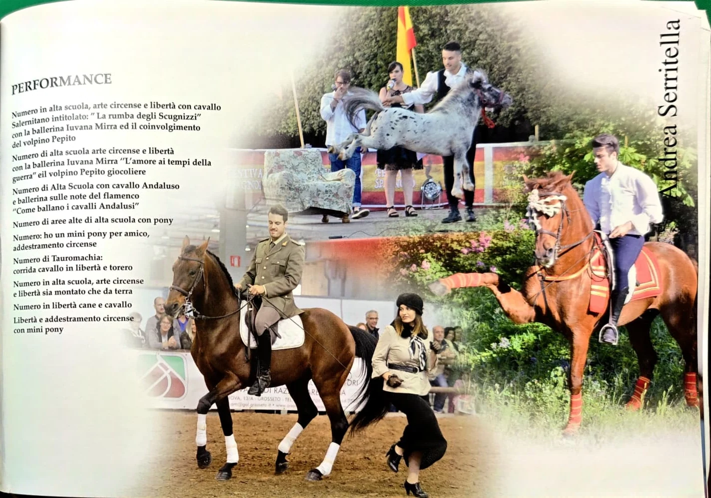 Esibizioni di alta scuola con cavalli e pony